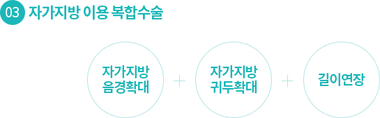 03.자가지방 이용 복합수술: 자가지방 음경확대 + 자가지방 귀두확대 + 길이연장
