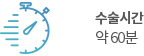 수술시간 약 60분